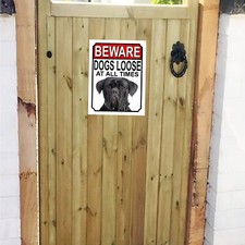 Beware dogs loose cane - cane, corso