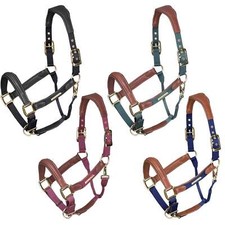 Shires Velociti Lusso Padded