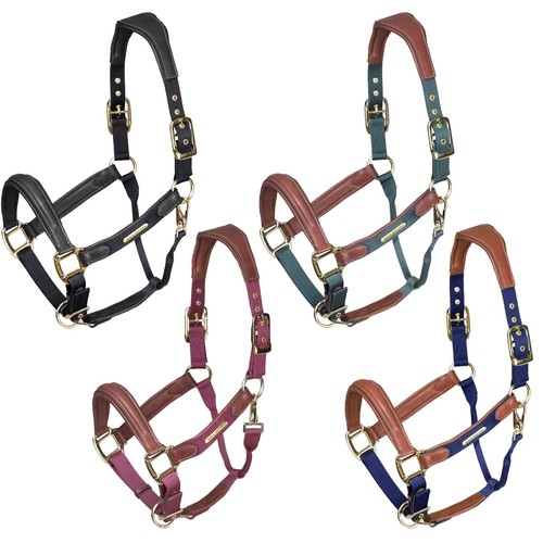 Shires velociti lusso padded - lusso,