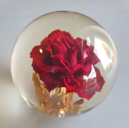 Hafod grange lucite - grange,