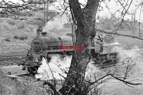 Photo standard class - photo, 75027