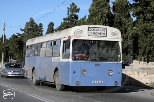 Bus photo malta education - photo,