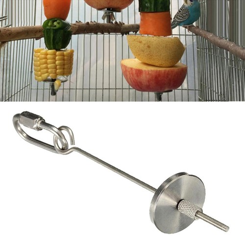 Birds chicken fruit - chicken, fork