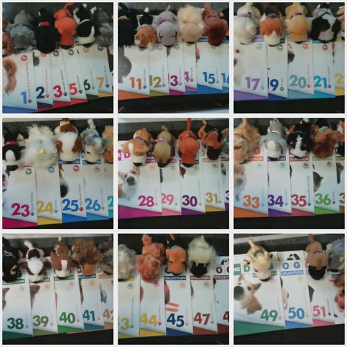 47x the dog - 47x, collection