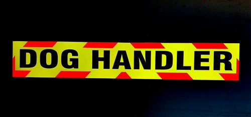 Dog handler fluorescent - dog,