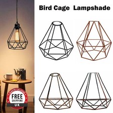 Contemporary Bird Cage Metal