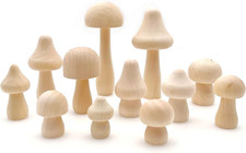 12X Small Unfinished Wooden