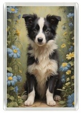 BORDER COLLIE CUTE SITTING PUP