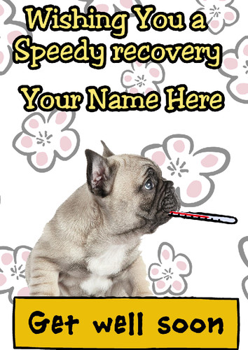French bulldog pup - bulldog,