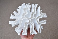 Large Artificial Coral