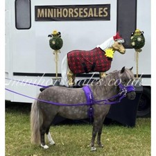 **PARTS** Lunge roller. cavesson. ground Reins . Miniature horse . Shetland pony