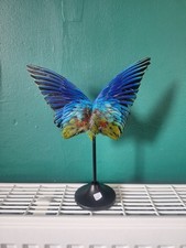 Taxidermy Budgie Wings