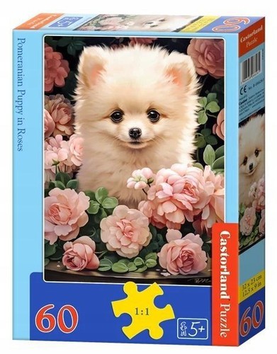 Castorland pomeranian - pc,