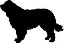 Custom Newfoundland Dog
