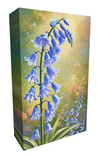 Bluebell plant spring - bluebell,