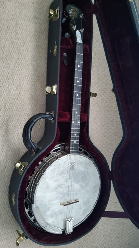 Deering sierra tenor - , banjo