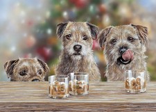 Border Terrier Christmas cards pack of 10 'Happy Hour' by Paul Doyle C727x