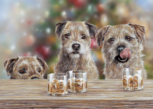 Border terrier christmas - border,