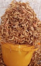 Whole Fresh Oron Crayfish Premium Quality Tasty, Cleaned, One Painter 500g