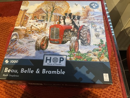 Jigsaw puzzle 1000 piece beau - 1000,