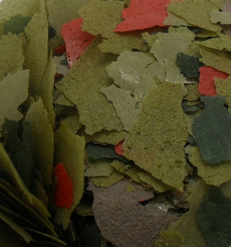 Malawi cichlid flake food