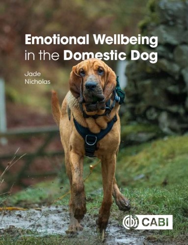 Emotional wellbeing the - wellbeing, in