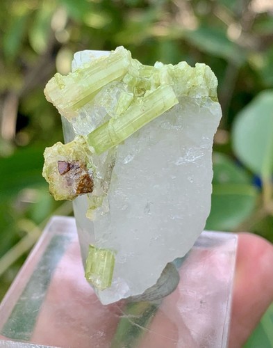 30gm green tourmaline with - 30gm,