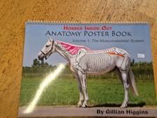 Horse Anatomy Poster Book Vol 1 Musculo-Skeletal System Gillian Higgins A3 LARGE