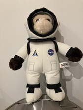 Nasa monkey In A Space Suit