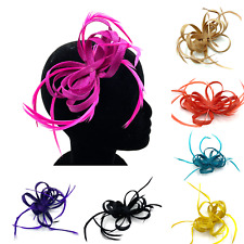 Ladies Feather Beak Clip