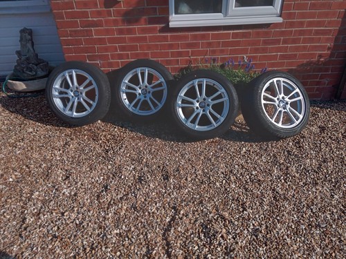 Fox racing alloy - fox, and