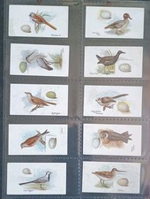 Lambert and butler  Birds & There Eggs Original Set 50 Cigarette Cards 1906 .