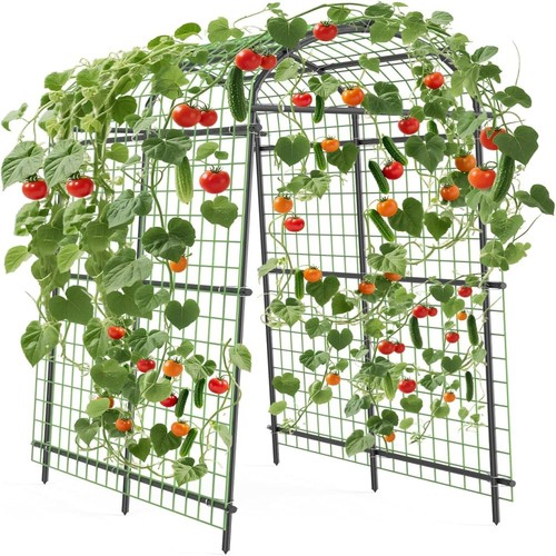 Metal garden arch - m,