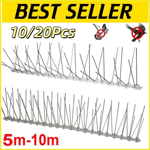 10m pigeon bird spikes - bird, metal