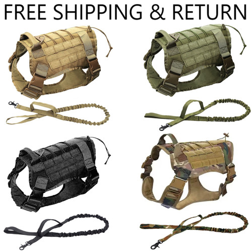 Tactical training dog - training,