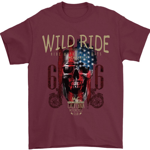Biker usa flag - flag, skull