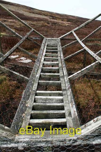 Photo 6x4 larsen trap - photo,
