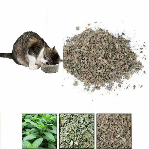 100 natural catnip dried - 100%,