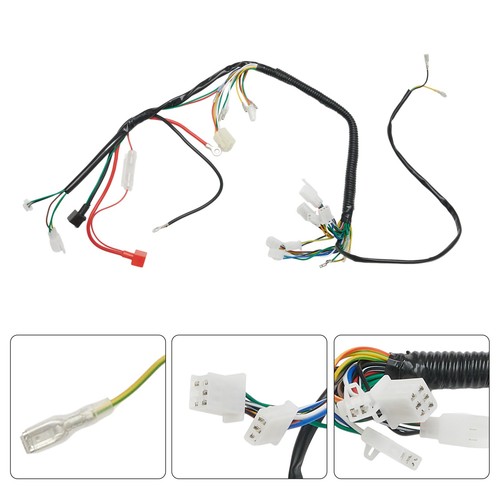 Robust wiring harness for - robust,