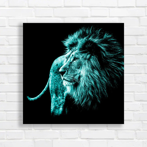Lion the shadows - the,