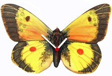 Yellow Butterfly Clock -