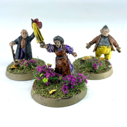 Hobbits the shire - the,