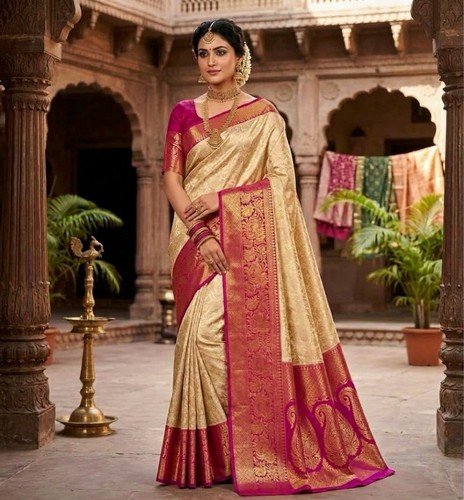 Stunning party wear - saree, with