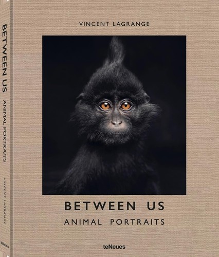 Between animal portraits - animal,