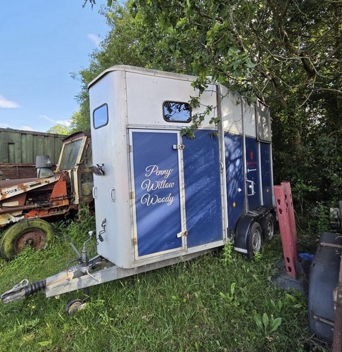 Blue white stall horse - stall,