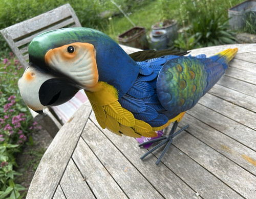 Hand painted metal parrot - hand,