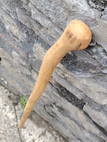 Birch shillelagh walking stick - walking,