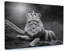 Lion King Animal Canvas