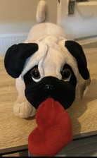 Pug with Love heart