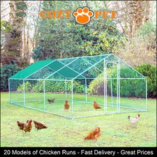 Chicken run sizes - chicken, 10